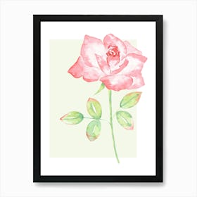Watercolor Rose Art Print