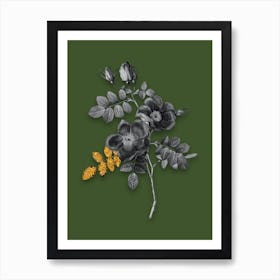 Vintage Austrian Briar Rose Black and White Gold Leaf Floral Art on Olive Green n.0557 Art Print