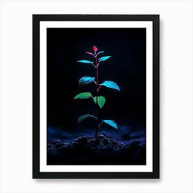 Plant In The Dark 7 Art Print