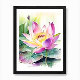 Lotus Flower In Garden Watercolour 1 Art Print