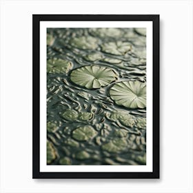 Water Lily 3 Art Print