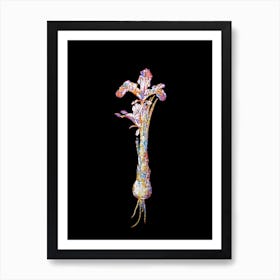 Stained Glass Iris Persica Mosaic Botanical Illustration on Black n.0019 Art Print