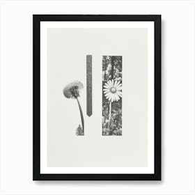 Dandelion Flower Photo Collage 3 Art Print