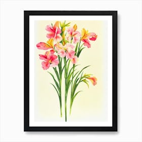 Gladioli Vintage Flowers Flower Art Print