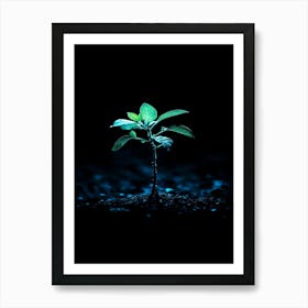 Green Plant In The Dark 1 Art Print