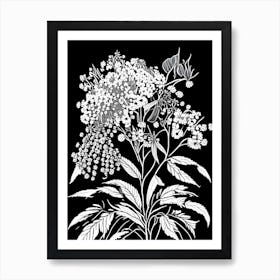 Elderberry Blossom Wildflower Linocut 1 Art Print