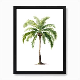 Palm Tree Isolated On White Art Print