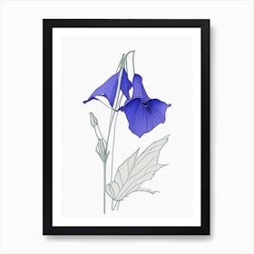 Canterbury Bell Floral Minimal Line Drawing 2 Flower Art Print