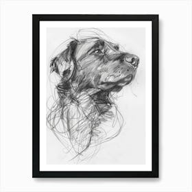 Newfoundland Dog Charcoal Line 1 Art Print