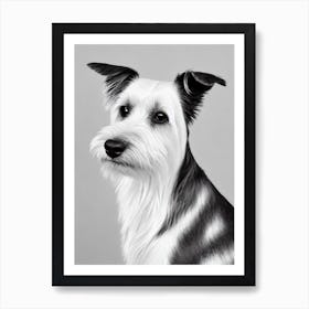 Australian Terrier B&W Pencil Dog Art Print