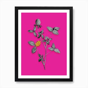 Vintage Pink Clover Black and White Gold Leaf Floral Art on Hot Pink n.0994 Art Print