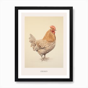 Vintage Bird Drawing Chicken 1 Poster Art Print