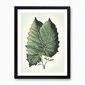 Silverberry Leaf Vintage Botanical 2 Art Print