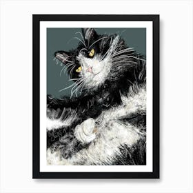 Jeffery The Black And White Cat Art Print