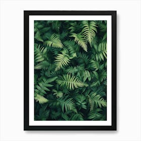 Pattern Poster Sword Fern 2 Art Print