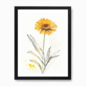 Calendula Herb Minimalist Watercolour Art Print