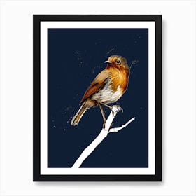 The Robin On Midnight Blue Art Print