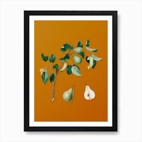 Vintage Pear Botanical on Sunset Orange n.0638 Art Print