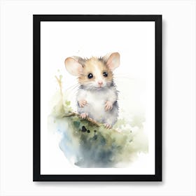 Light Watercolor Painting Of A Western Pygmy Possum 4 Art Print