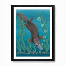 Platypus Swimming Underwater Art Print