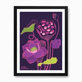 Lotus Flowers Art Print