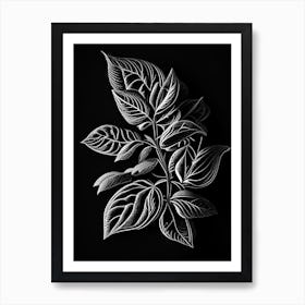 Oregano Leaf Linocut 4 Art Print