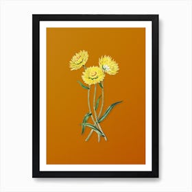 Vintage Helichrysum Flower Branch Botanical on Sunset Orange Art Print