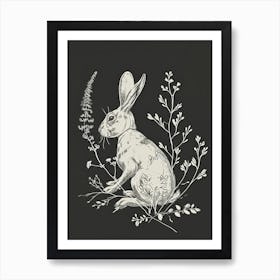 Blanc De Hotot Rabbit Minimalist Illustration 1 Art Print