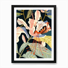 Colourful Flower Illustration Honeysuckle 2 Art Print