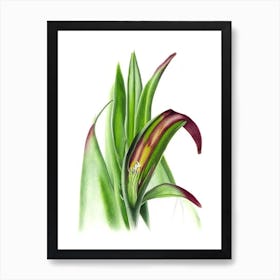 Adder's Tongue Fern Wildflower Watercolour 1 Art Print