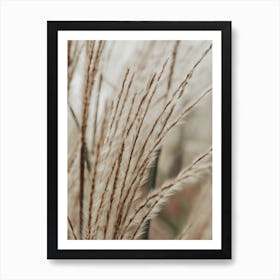 Neutral Botanical Abstract Brown Art Print