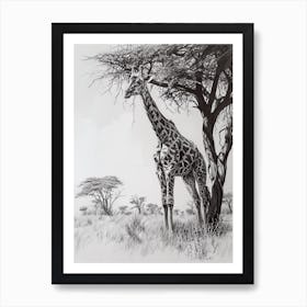 Giraffe With The Acacia Tree 1 Art Print