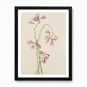 Lily Of The Valley 1 Art Print