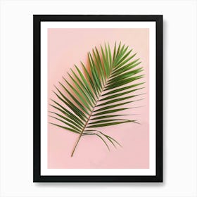 Palm Leaf On Pink Background Art Print