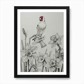 Goldfinch and daffodils Art Print