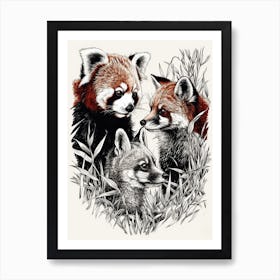 Red Panda And A Fox Ink Illustration 2 Art Print
