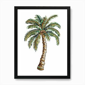 Palm Tree 35 Art Print