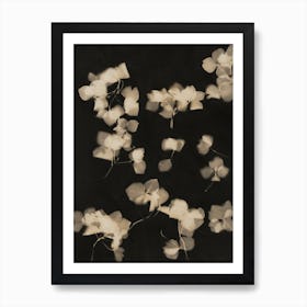 Hydrangea Scatter Art Print