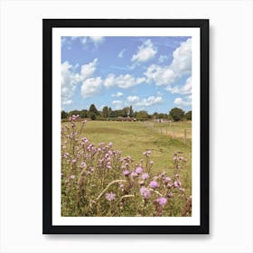 Field Of Flowers Art Print