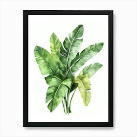 Banana Leaves 3 Art Print