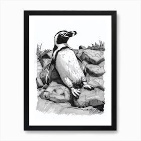 African Penguin Sunbathing On Rocks 2 Art Print