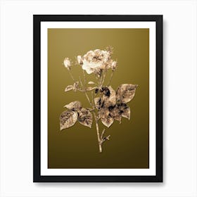 Gold Botanical Pink French Roses on Dune Yellow n.4177 Art Print