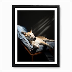 Dog In The Sun 2 Art Print