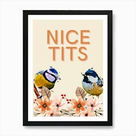 Nice Tits Affiche