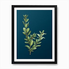 Vintage Buxus Colchica Bush Botanical Art on Teal Blue n.0206 Art Print