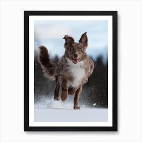 Dog Running In The Snow Art Print