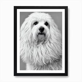 Puli B&W Pencil Dog Art Print