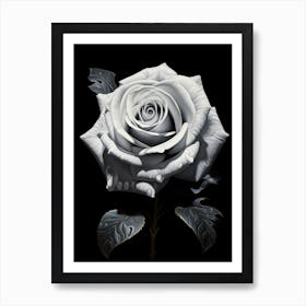 White Rose Art Print