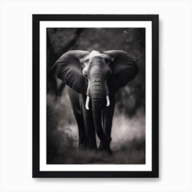 Elephant In The Wild 1 Art Print