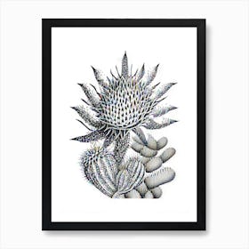 Star Cactus William Morris Inspired 3 Art Print